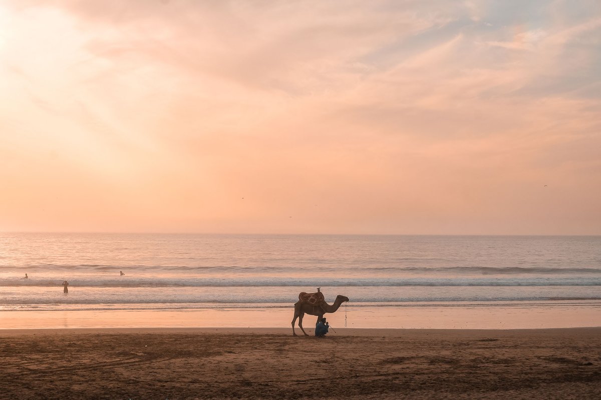 Planning your 2020 summer? #Essaouira is the perfect place to explore – from The Medina to the beaches, there's plenty to see and do! 🧡☀️