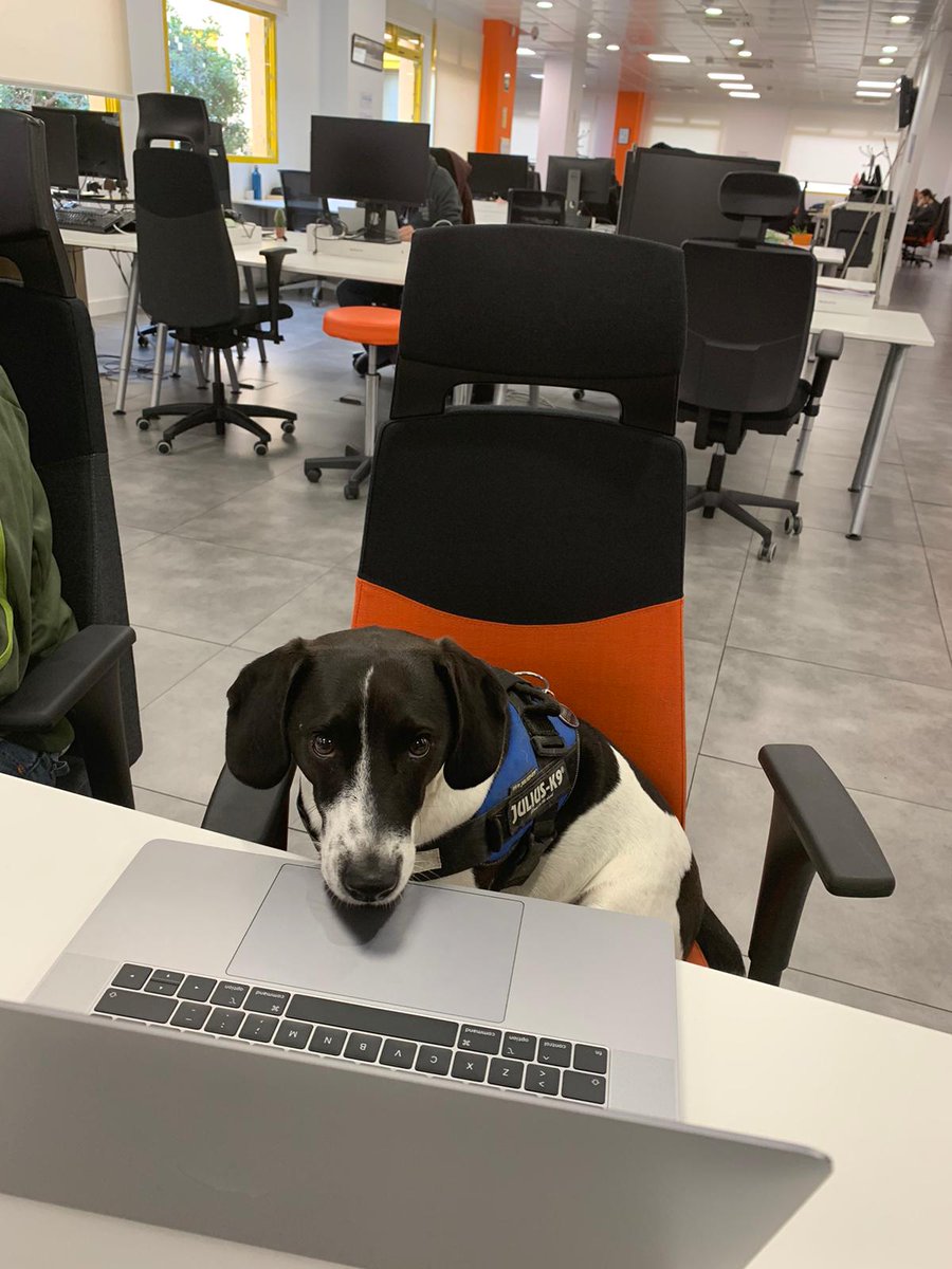 Me encanta cada vez que viene a currar este compi ❤️