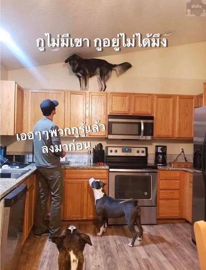 เบบ ณ ค๊ะ tweet media