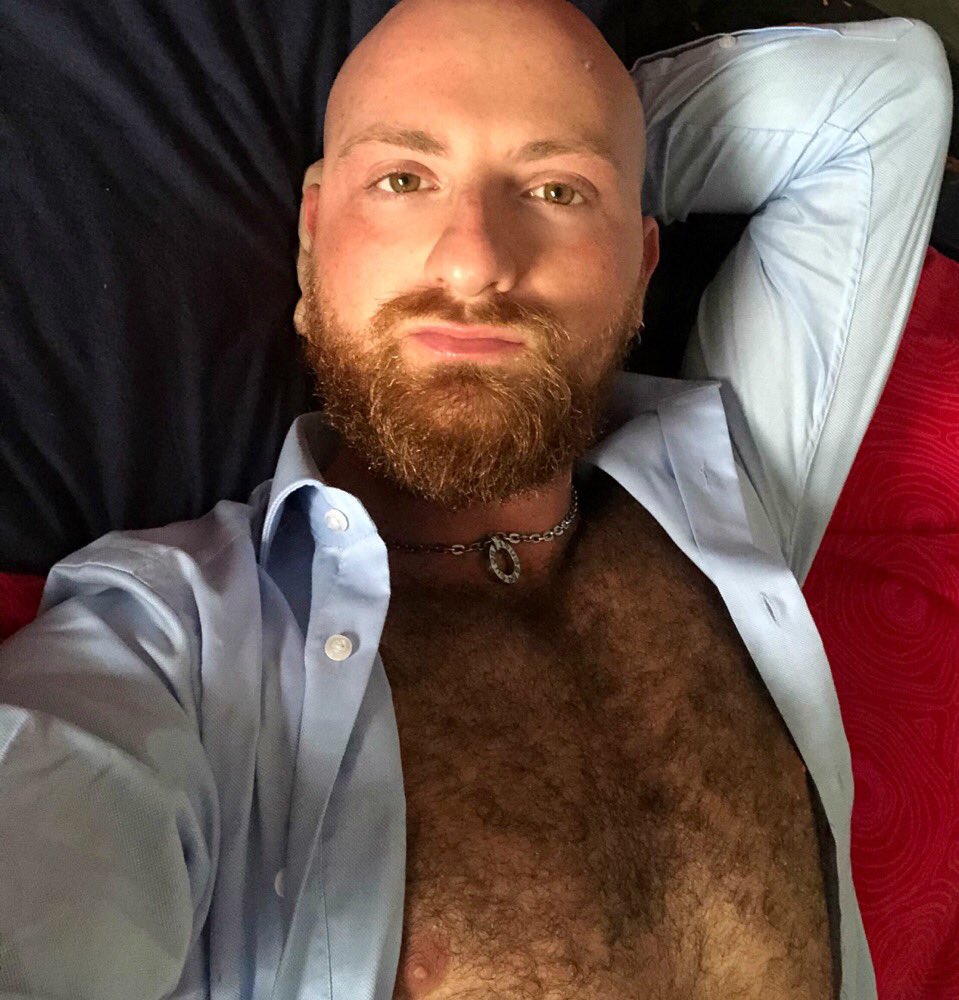 RedWolf_sf's tweet photo. #Morning #postweekend #vibes https://t.co/gNqTtkOG5C
