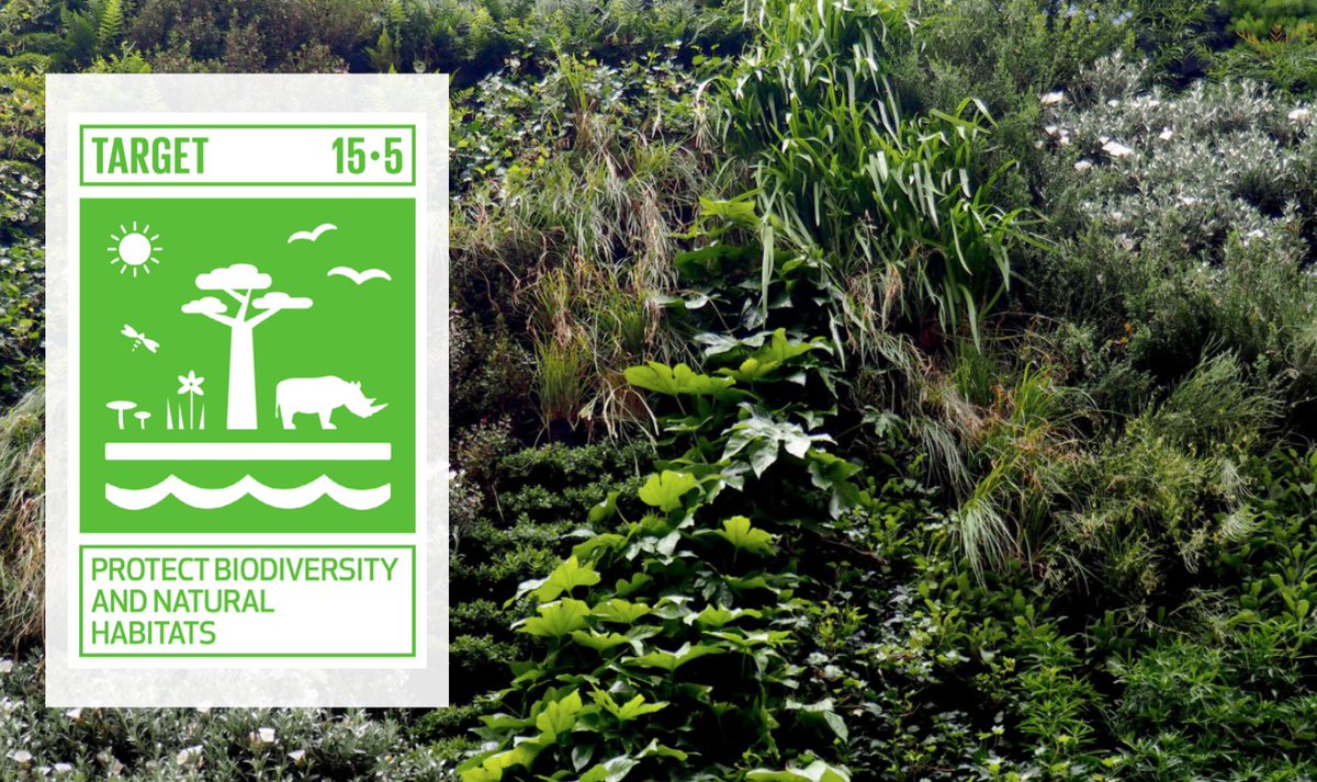 TeamLondonBdg's tweet photo. 📢 Our #Orchardlislelivingwall + #bikesforbusiness initiatives have been shortlisted for the people's vote in the #LocalProjectChallenge! 🙌 We'd love to get your vote 🌎💚 Find out more/ vote now → https://t.co/YfEdFiaFid 

#SDG #globalgoals #SE1 #londonbridge https://t.co/KkdFsl1x1D