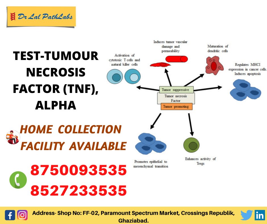 DrLalpath's tweet photo. TEST-TUMOUR NECROSIS FACTOR (TNF), ALPHA

HOME COLLECTION FACILITY AVAILABLE.!

Please call Now - 8750093535, 8527233535.

Address- Shop No: FF-02, Paramount Spectrum Market, Crossings Republik, Ghaziabad.

#dr_lal_path #paramount #crossings #republik #ghaziabad #alpha #total https://t.co/7lXHnx3Pf1