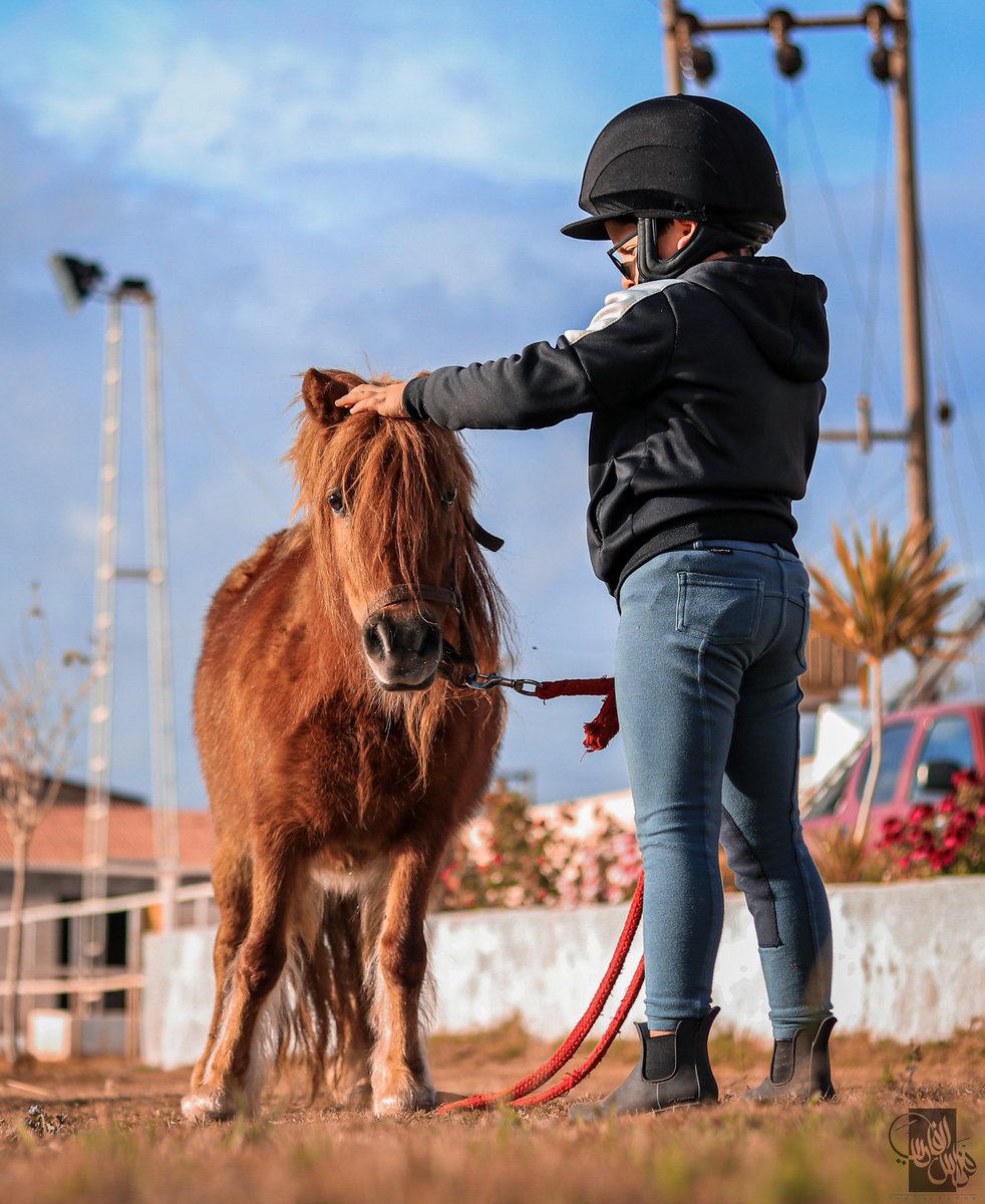 feras_alfarsi's tweet photo. إذا لم تملك قلب فارس 🐎
                فلا تتورط في عشق الخيل 💛
تصويري 💛
 #feras_alfarsi_gm 📷 https://t.co/qap4rum8yT