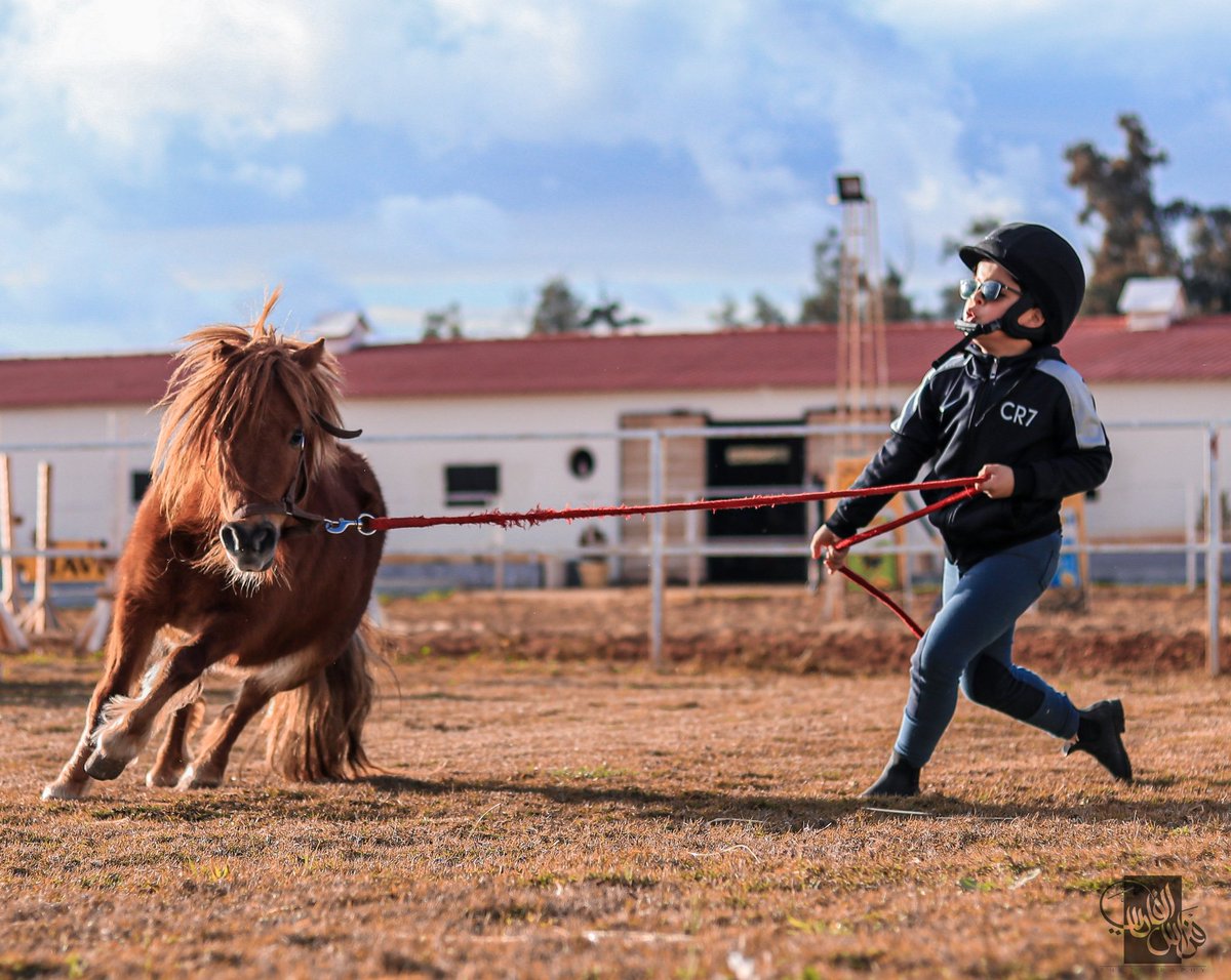 feras_alfarsi's tweet photo. إذا لم تملك قلب فارس 🐎
                فلا تتورط في عشق الخيل 💛
تصويري 💛
 #feras_alfarsi_gm 📷 https://t.co/qap4rum8yT