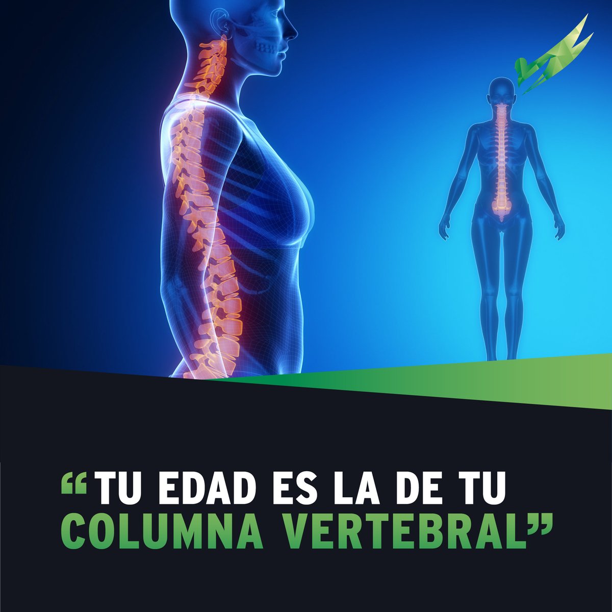 💪👵 Tu edad es la de tu columna vertebral 💪👴