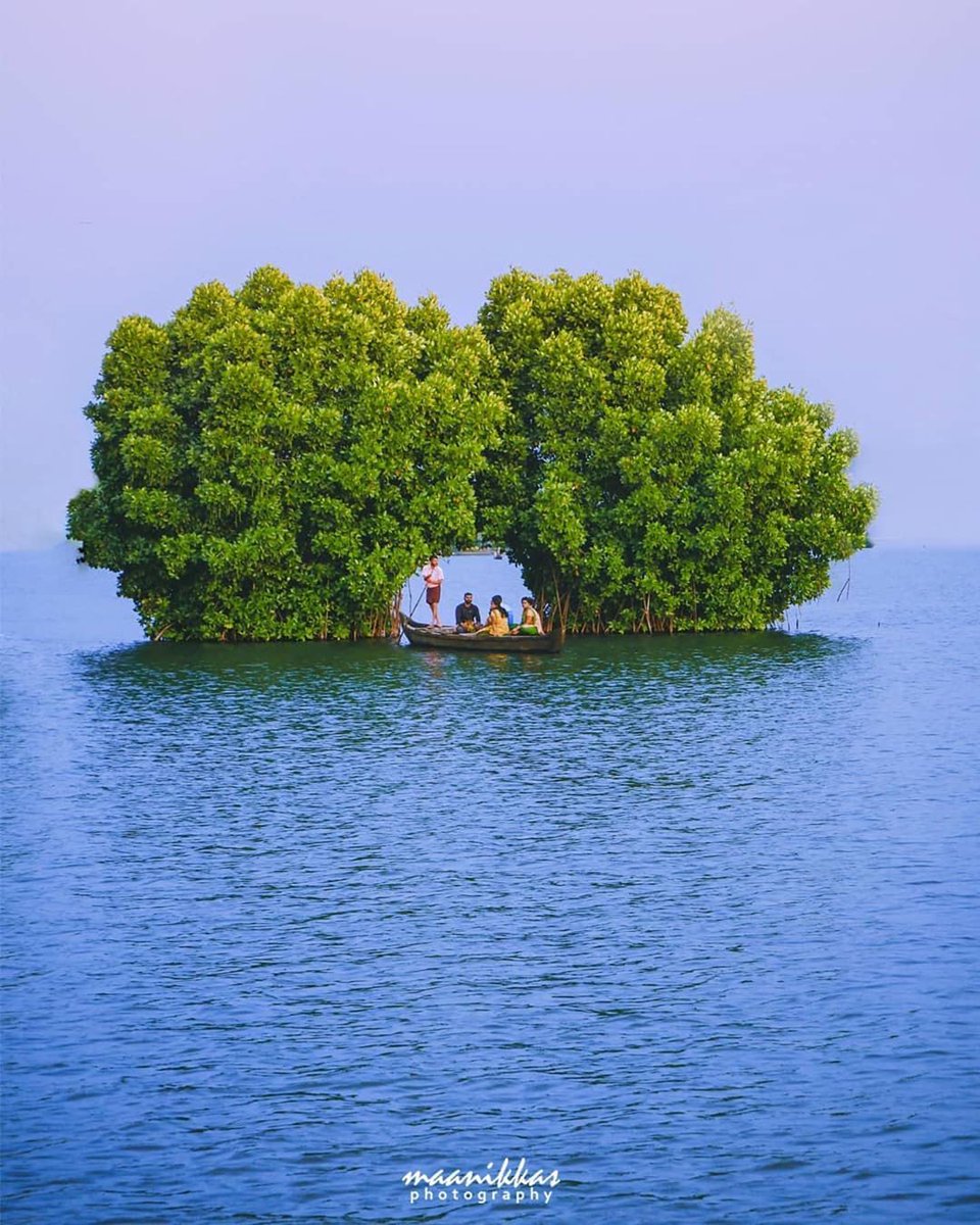 FlynoteHQ's tweet photo. This pretty little tree archway can be spotted in Munroe Island or Mundrothuruthu situated in Kollam district, Kerala. A group of eight small islets, this island lies at the junction of Ashtamudi Lake and the Kallada River.

Photo by: @maanikkas

#Flynote #FlynoteCommunity https://t.co/EKg0DTqARf