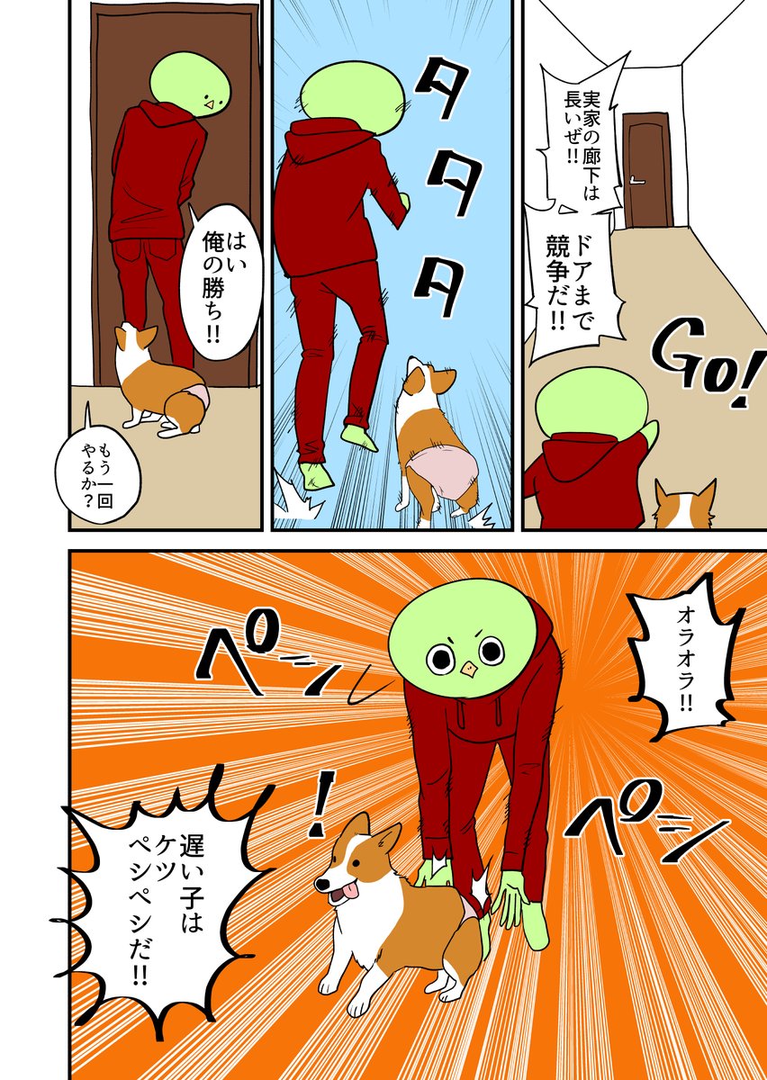 コーギーとかけっこ。 その46
#コーギーのいる暮らし 