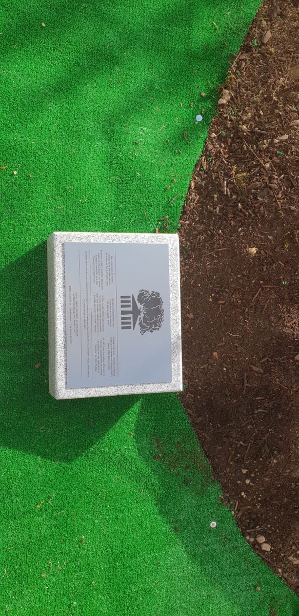 ParlamentoPP's tweet photo. Nuestro portavoz, @barriobaroja , propuso plantar retoño del árbol de #Gernika dentro de actos del 40 aniversario del Parlamento. Hoy tenemos el honor de participar en una iniciativa cargada enorme simbolismo y significado democrático para el conjunto de los vascos. https://t.co/mNyiAMG3Zp
