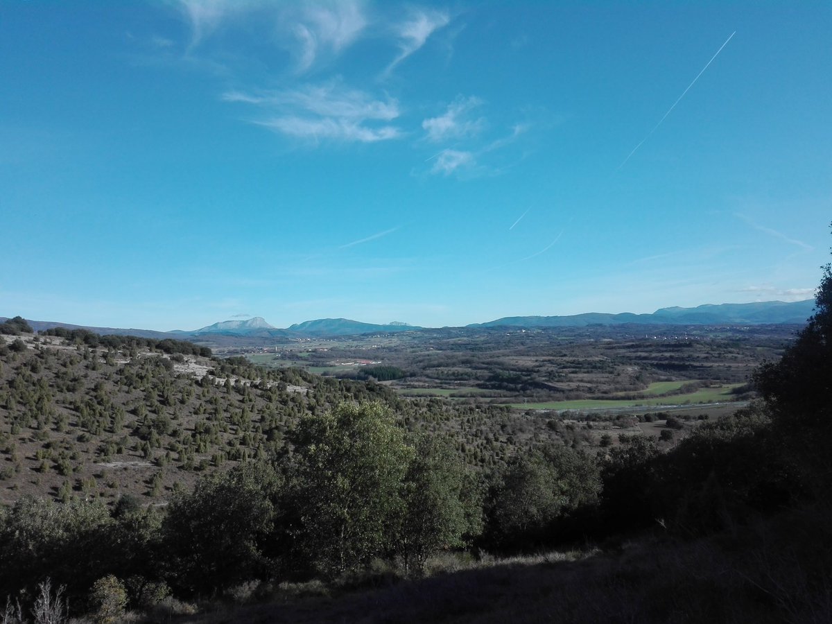 ArtArturoagjim's tweet image. #Furgoneteando #Letona