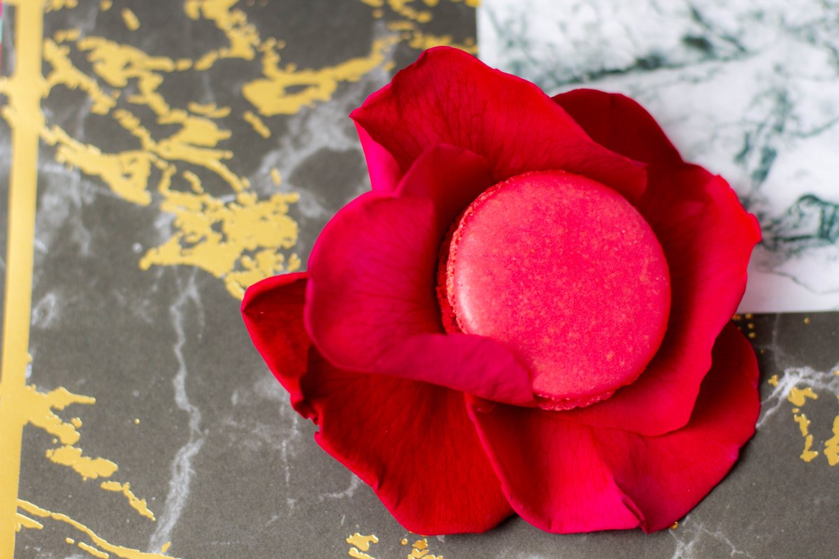 Planète Chocolat tweet media