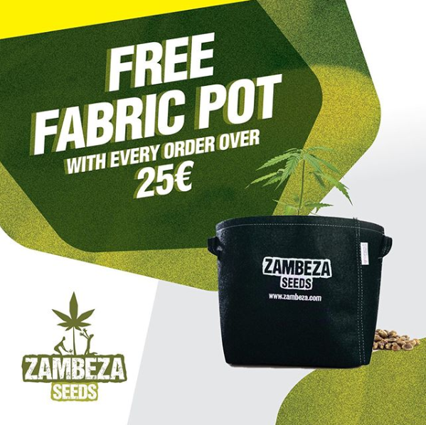 📣New month, New Fabric Pot!

Get you Zambeza official Fabric Pot for free with every order over 25€! Just need to go to➡️zambeza.com

#zambeza #zambezaseeds #cannabisculture #cannabiscommunity #weedstagram #sativa #indica #420life #cannabissociety #weedstagram420