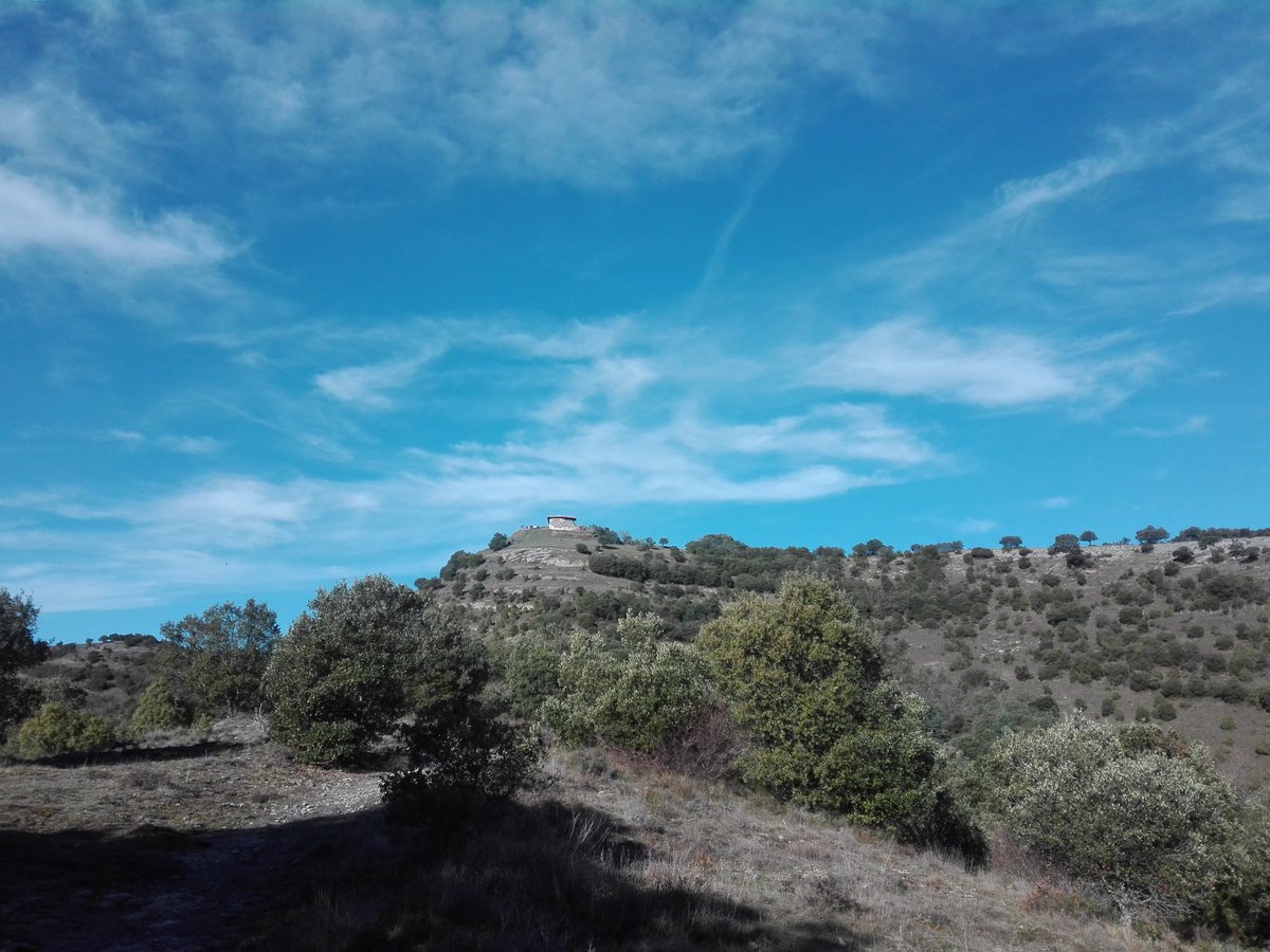 ArtArturoagjim's tweet image. #Furgoneteando #Letona