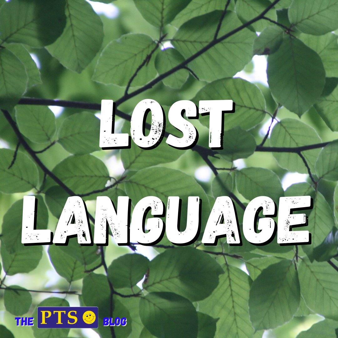 PTS_Stickers's tweet image. The language of nature is disappearing for children&apos;s vocabulary. Find out why on the blog: primaryteaching.co.uk/blog/lost-lang… #lostlanguage #thelostwords