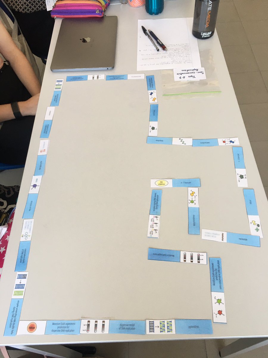 lindsaywilgrove's tweet photo. Yr12 HL really enjoyed consolidating and testing their understanding of Semi-conservative replication with a quick game of dominoes. @JESSScienceDept @JESSDubai @JESSSixthForm #JESSBioDept #JESSEnquiry #JESSCriticalThinking #JESSQuestioning #JESSSubjectExpert https://t.co/0Bqu0jwtcI