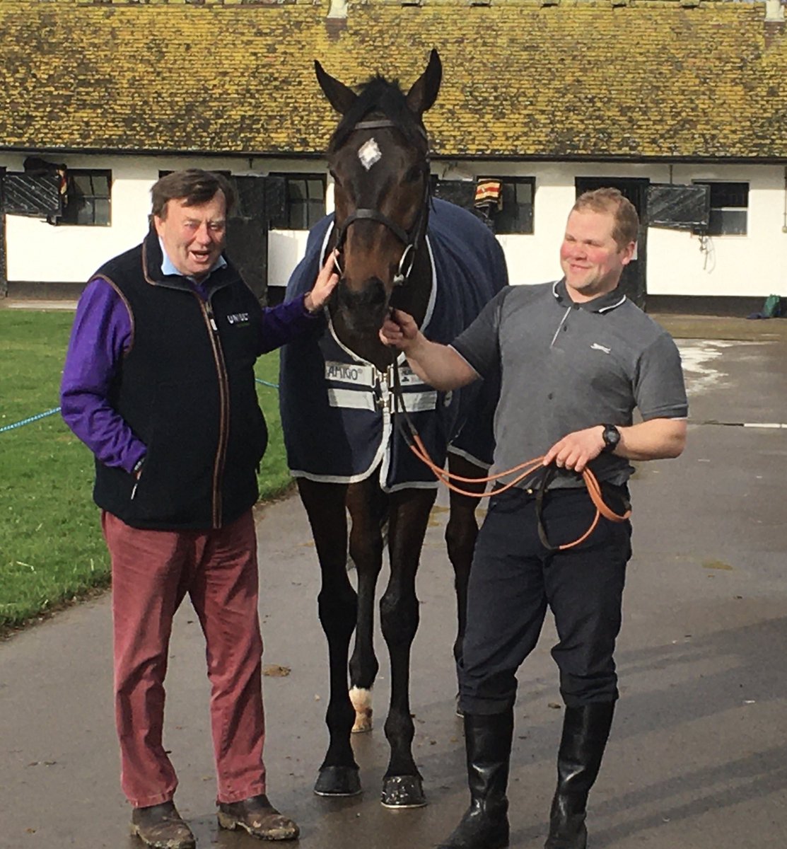 Altior (@kingaltior) on Twitter photo 