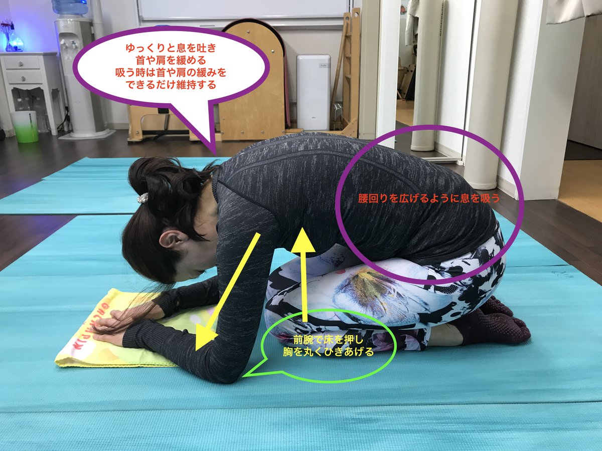 YAPF_tweet's tweet image. 呼吸パート４

からだの中心を整えるには呼吸が大切

正座で前屈
前腕で床を押し胸を丸く引き上げる

長く吐くときに肩や首の緊張を取り除く
緩んだ首と肩のまま息を吸う

呼吸のたび、下背部に空気が入りやすくなるのを感じれたらGOOD

#挫折しらずの1分運動 
#横隔膜で呼吸
#YAPF
 #西荻窪