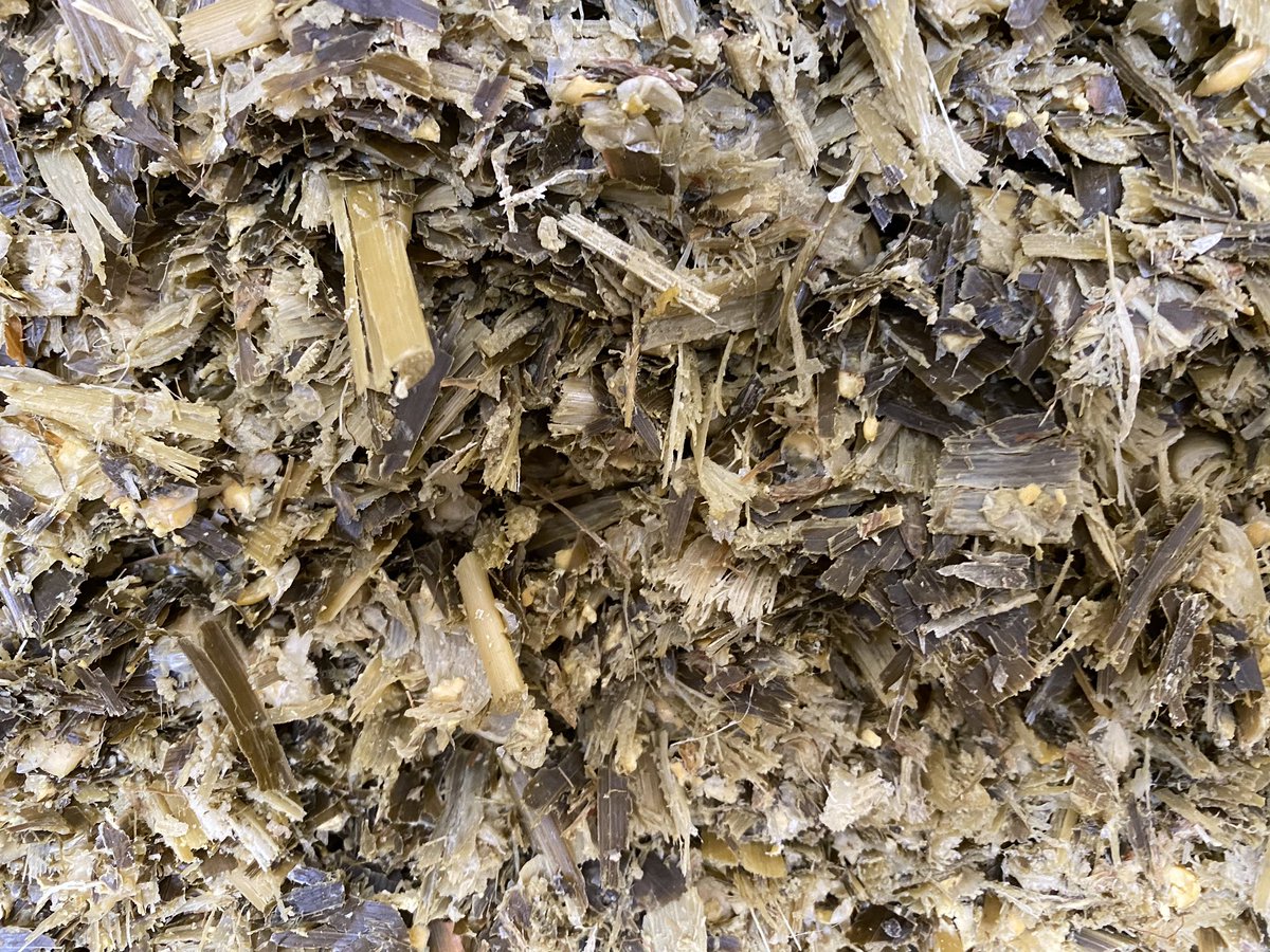 Grass Science Seeds Biogas tweet media