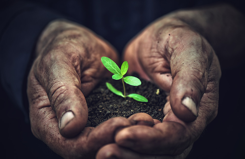 Agriculturers's tweet photo. Agricultura más ecológica
https://t.co/dJ8OynUCow https://t.co/twxXjA2KOX