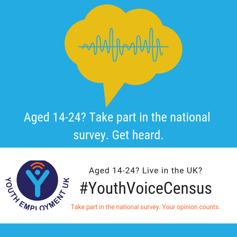 What do young people in the UK really think about #apprenticeships and #traineeships? 14-24 year olds can have their say &amp; help inform policy in <a href="/YEUK2012/">Youth Employment UK</a>
's #YouthVoiceCensus. Share the survey and amplify youth voices: surveymonkey.co.uk/r/youthcensus2…