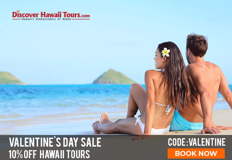 DiscoverHawaii's tweet photo. https://t.co/pDvCqCqL63 Who is your partner in crime for adventure? Book Hawaii tours now and get 10% off. Use code VALENTINE at checkout! Hawaiitours #Adventure #Exciting #Travel #Vacations #Holidays #Valentinesday #Romance #Love https://t.co/IJjGeGQb0x