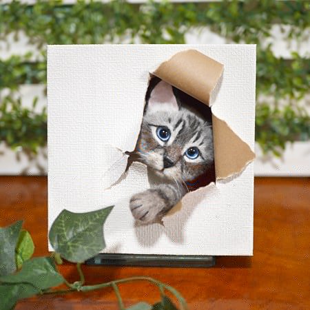 Twoucan シャム猫ミックス の注目ツイート イラスト マンガ コスプレ モデル