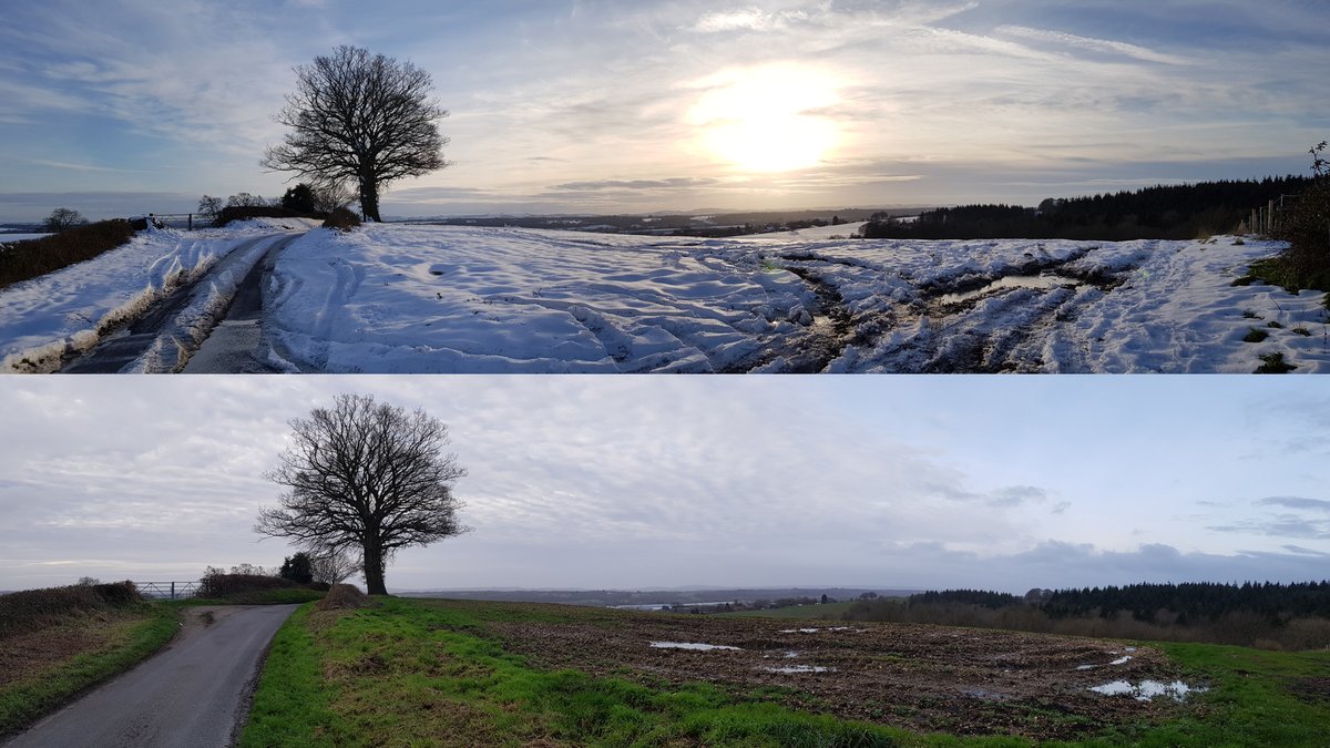 On this day 2019 vs 2020. This morning's pre-work ride was a little less crunchy. #cycling #uk #Winter #notWinter #gravel #adventure