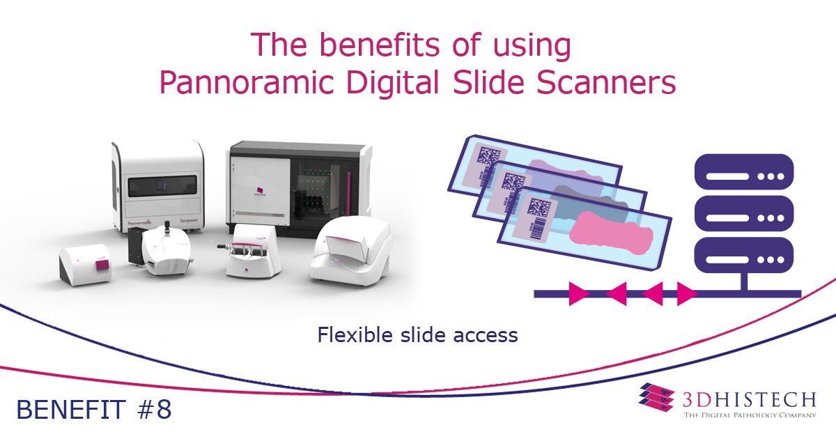 3DHISTECH_LTD's tweet photo. Why use #Pannoramic digital slide scanners from #3DHISTECH? After direct scanning on the server, you may access your slides on the server from anywhere, anytime.
To learn more about the benefits visit https://t.co/JWC5bocywS
#digitalpathology https://t.co/GHl5mG8uUw