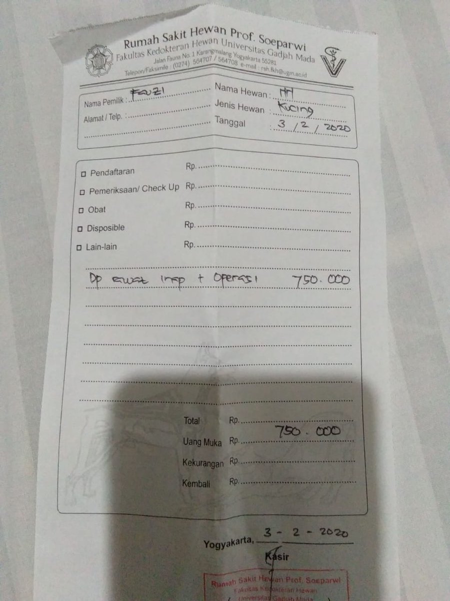 Ini beberapa nota pembayaran yg meliputi infus, rawat inap, makanan, obat, rontgen beserta uang muka untuk operasi. Total sementara Rp 1.330.000. Biaya operasi keseluruhan sebesar Rp 1.500.000, sementara kami baru DP 750rb supaya kucing tsb bisa segera dioperasi.