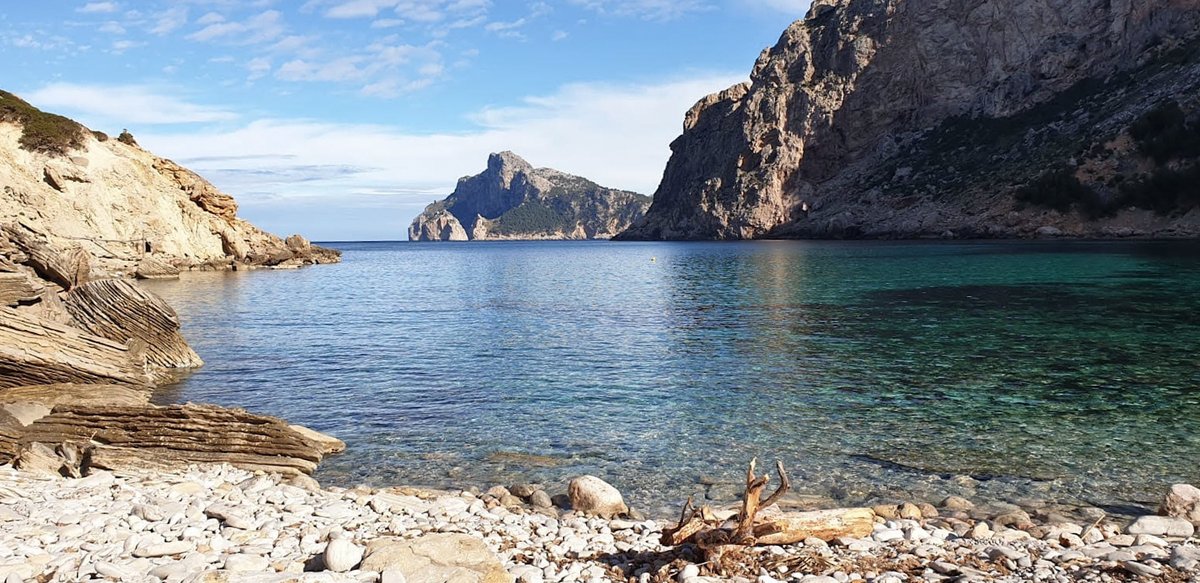 FuturtransSL's tweet photo. Spring days to walk in Mallorca. We share some images of our photo-driver, Rafa Nieto, on the visit to Cala Boquer this weekend.

Shall you come? 🧡🚍

#calaboquer #pollença #Mallorca #excursion #onthebus 
@sompollenca @Pollenca_com https://t.co/8lM7pOT7pu