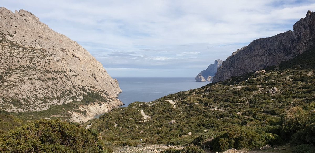 FuturtransSL's tweet photo. Spring days to walk in Mallorca. We share some images of our photo-driver, Rafa Nieto, on the visit to Cala Boquer this weekend.

Shall you come? 🧡🚍

#calaboquer #pollença #Mallorca #excursion #onthebus 
@sompollenca @Pollenca_com https://t.co/8lM7pOT7pu