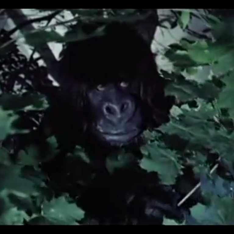 maldeolho's tweet photo. "Der Gorilla von Soho" (1968)
#dergorillavonsoho #alfredvohrer #horstwendlandt #edgarwallace #horsttappert #uschiglas #krimi https://t.co/i7KPmxd8TD