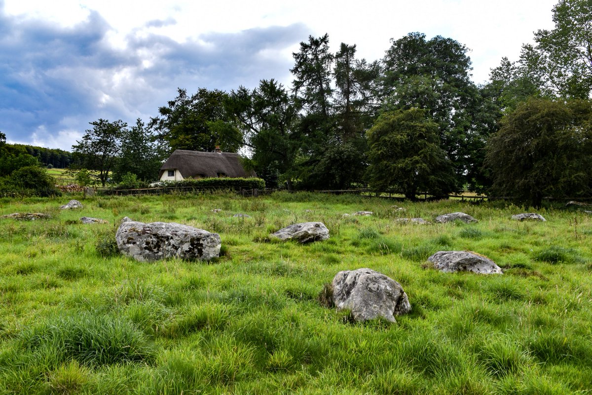 Glyndle's tweet photo. Sarsens in a field in Lockeridge Dene, Wiltshire. There are plenty of these ancient stones here, so worth exploring. Also visit nearby Piggledene and West Wood. #wiltshire #hiddenwiltshire #igerswiltshire #timeforwiltshire #sarsens #sarsenstones #lockeridge https://t.co/ihdbv1yzG8