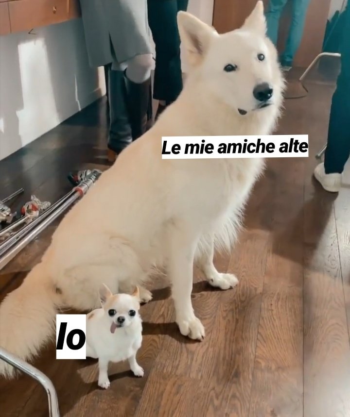 iamantartide's tweet photo. Quando faccio le foto con le mie amiche alte 😅

@NotGiuliaV https://t.co/aETCXVVaRN