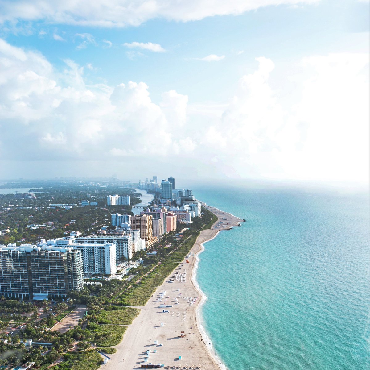 BlueMoonMiami tweet picture