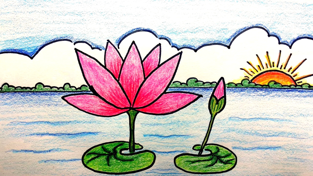 How to Draw a Water Lily - FinalProdigy.com