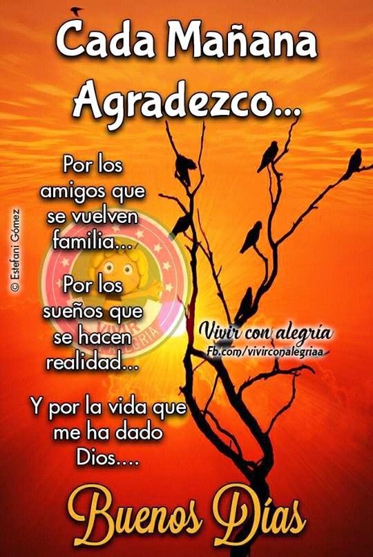 Angel51Anael's tweet photo. #FelizLunes y #BuenosDiasATodos ( hoy 3 de Febrero es día de asueto en México. ) Les envió una lluvia de bendiciones angelicales,  acompañada de alegría, amor, mucha salud y excelente compañía .Gracias por compartir a la distancia 😇🤗 https://t.co/FNj6KPysQw