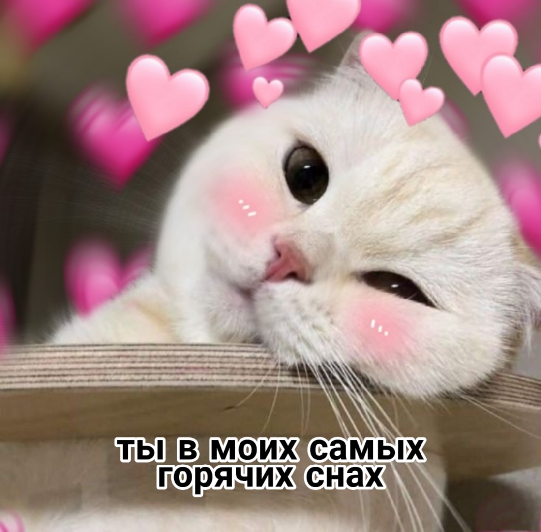 _keFear's tweet photo. @whoyyou_ https://t.co/YSNElcoCbB