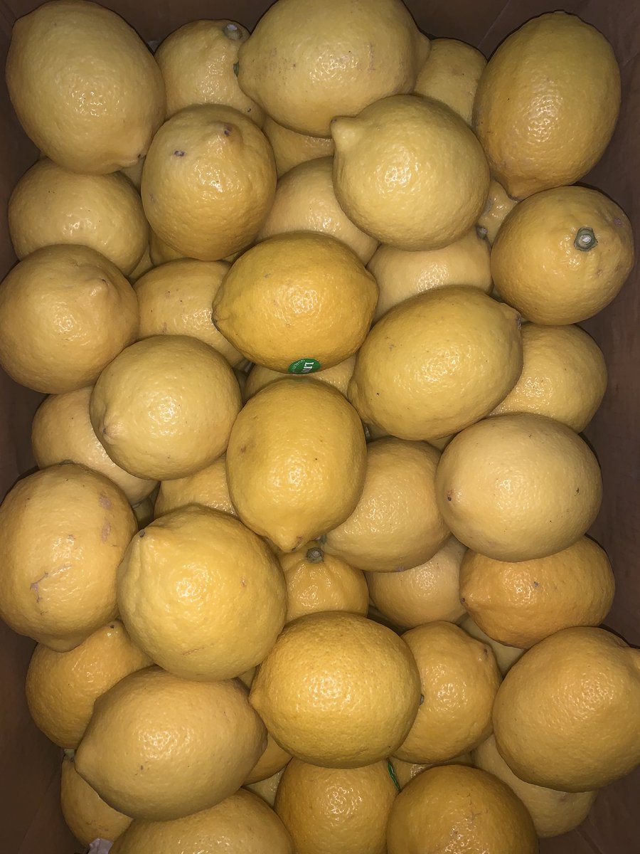 FruityBubblers's tweet photo. Fruity Bubblers is currently preparing for tomorrow’s event❣️

ABMAZING FESTIVISTA!!!

See you at our booth! https://t.co/cXnag1k8jC
