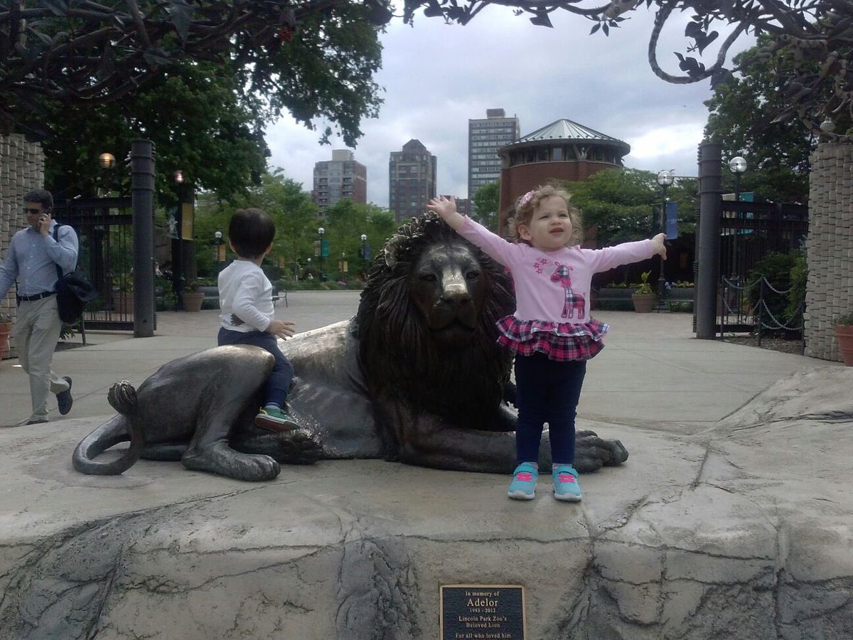 MiraclesLights's tweet photo. Tomorrow is #WorldCancerDay. Today, learn about the little girl who enjoyed feeling on top of the world. And join us in following our journey to honor her memory. Inspiration awaits. #ShineMaddiesLight #MaddiesMiracles #MiraclesThatFollow
https://t.co/JDxQRN2voO https://t.co/SFZGdEyOm9