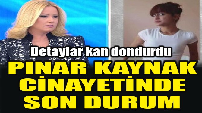 Ucankus Tv Evdekal V Twitter Pinar Kaynak Cinayetinde Son Durum