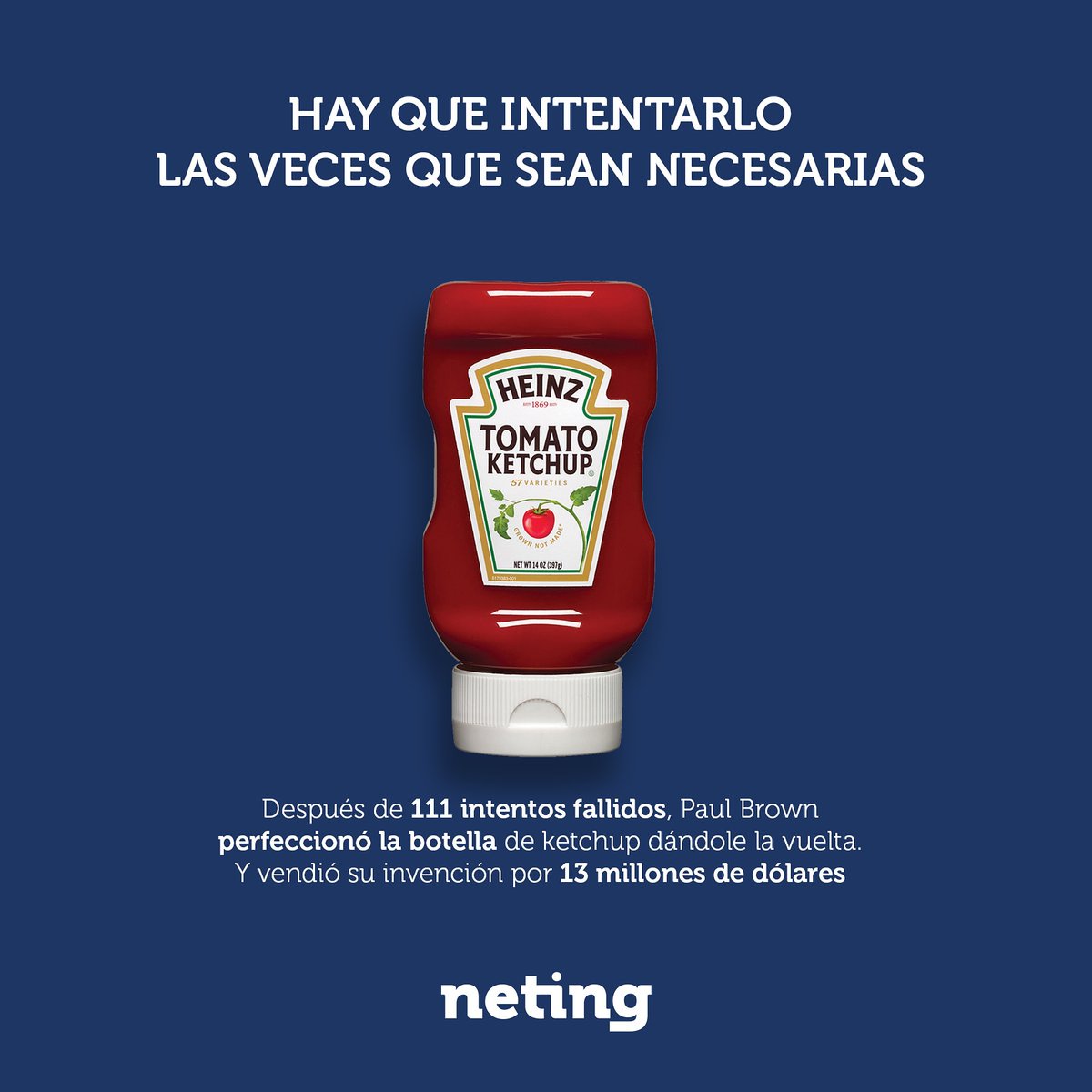neting.app tweet media