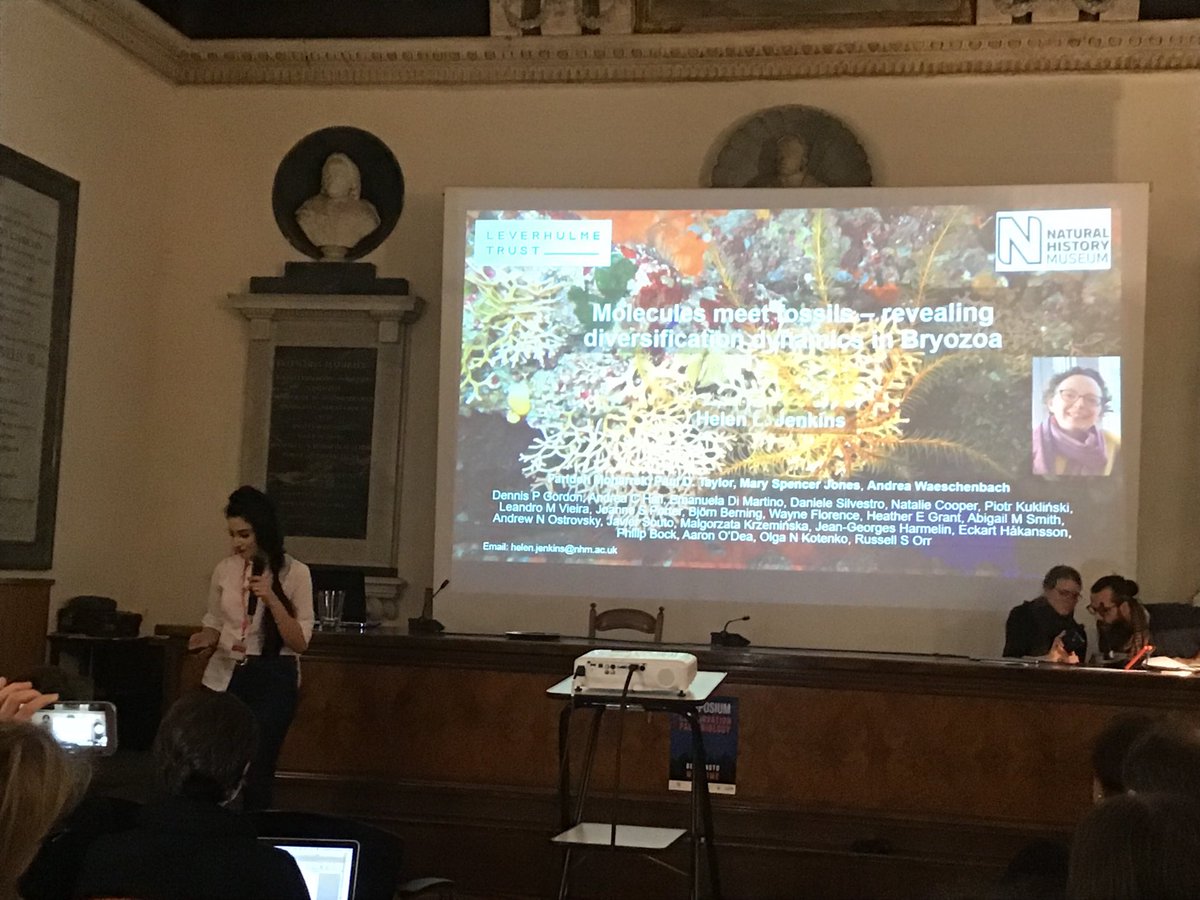 NHM Corals tweet media