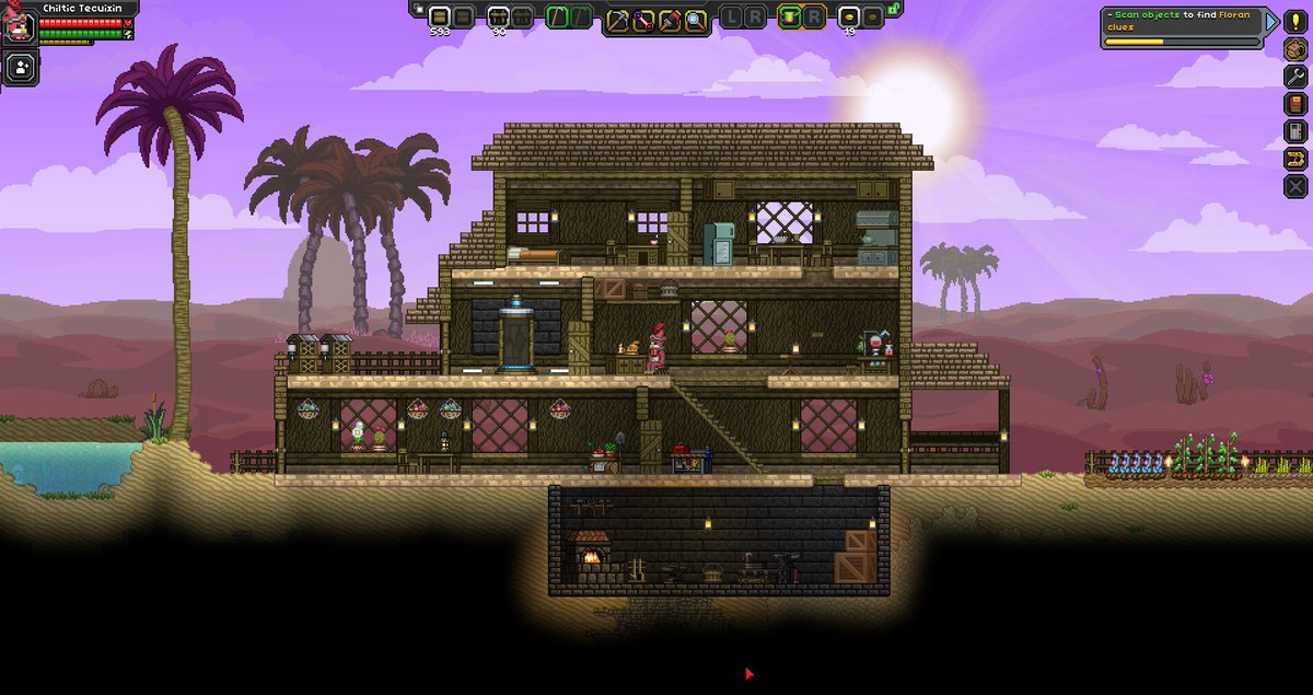 starbound 3 weird things
