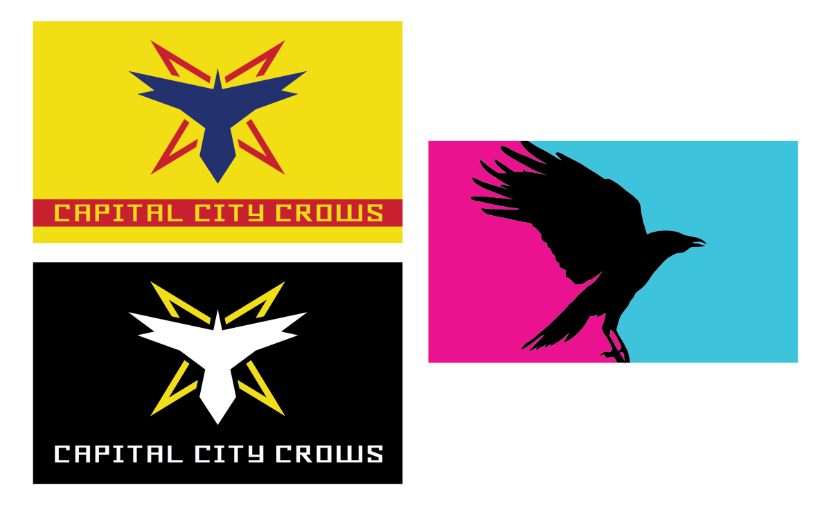 CapCityCrows's tweet photo. The first order of flags! https://t.co/IuUHXYWB0L