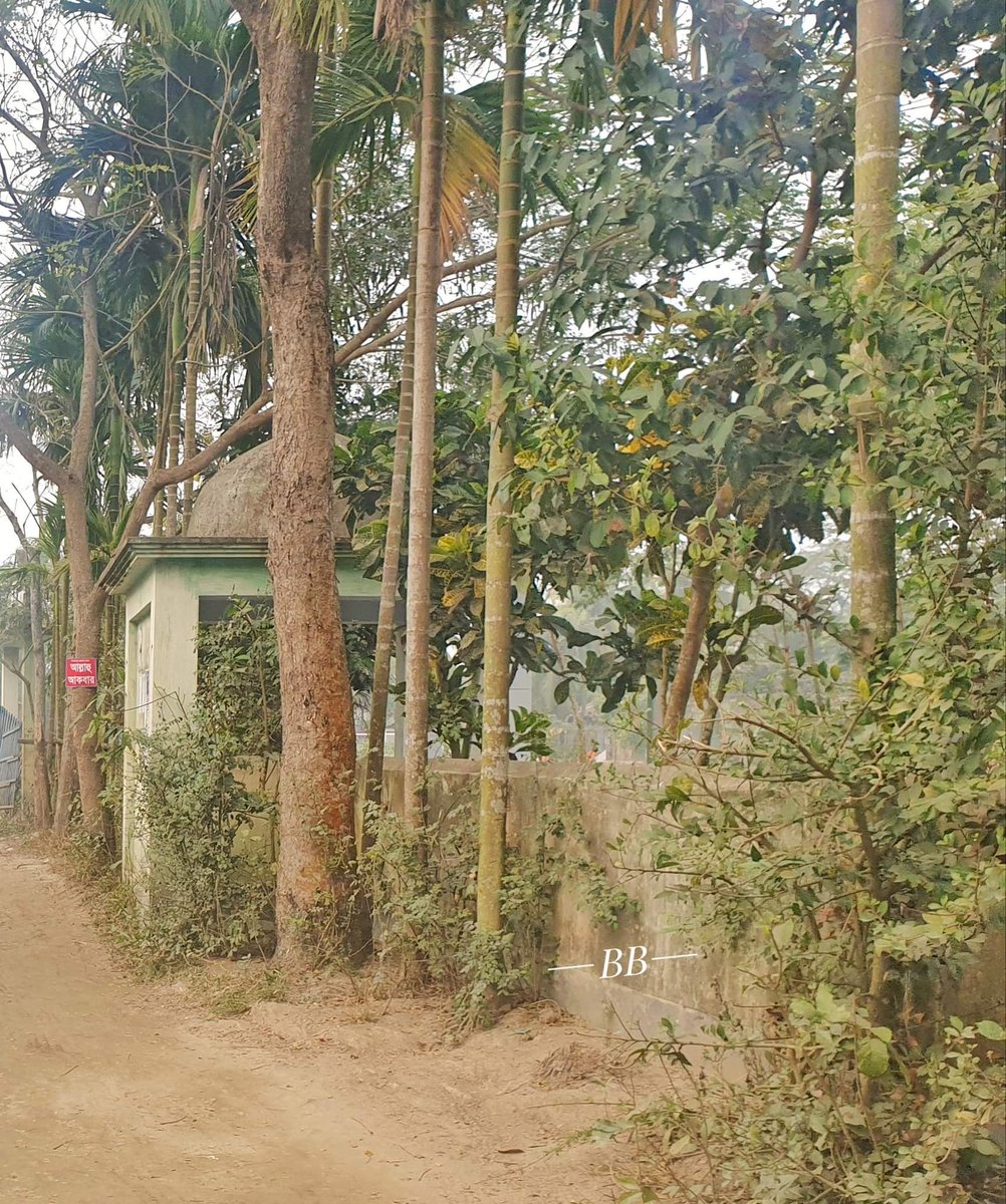 Brtv19's tweet photo. ঝুনারচর ঈদগাহ ময়দান,,,,
ঝুনারচর,বাঞ্ছারামপুর, ব্রাহ্মণবাড়ীয়া।
ছবি-শরিফ https://t.co/kcoP1KOnVr