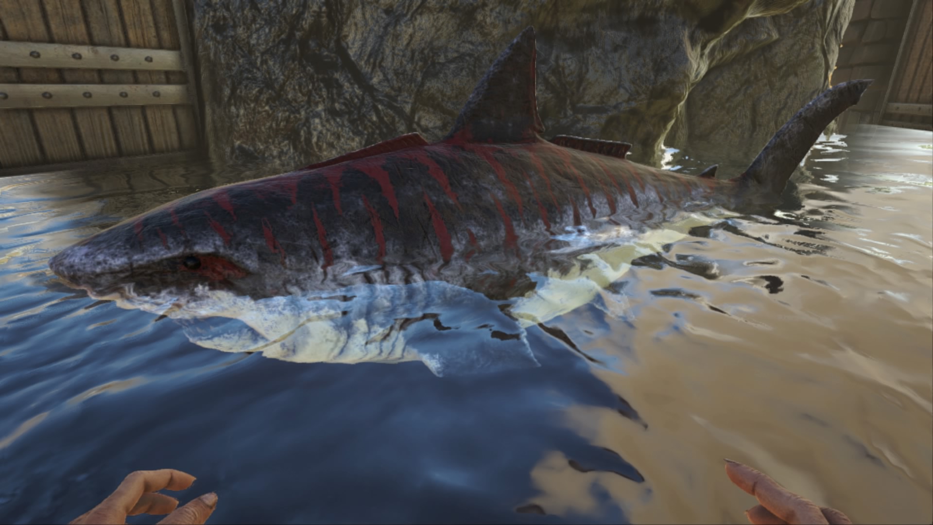 のんた Na Twitteru 昼間にテイムしたメガロドン かっこいい子をお迎え出来た しかし拠点に水辺がないのでモンボ行き 笑 Ark Ps4share T Co Ovbenpr6hl Twitter