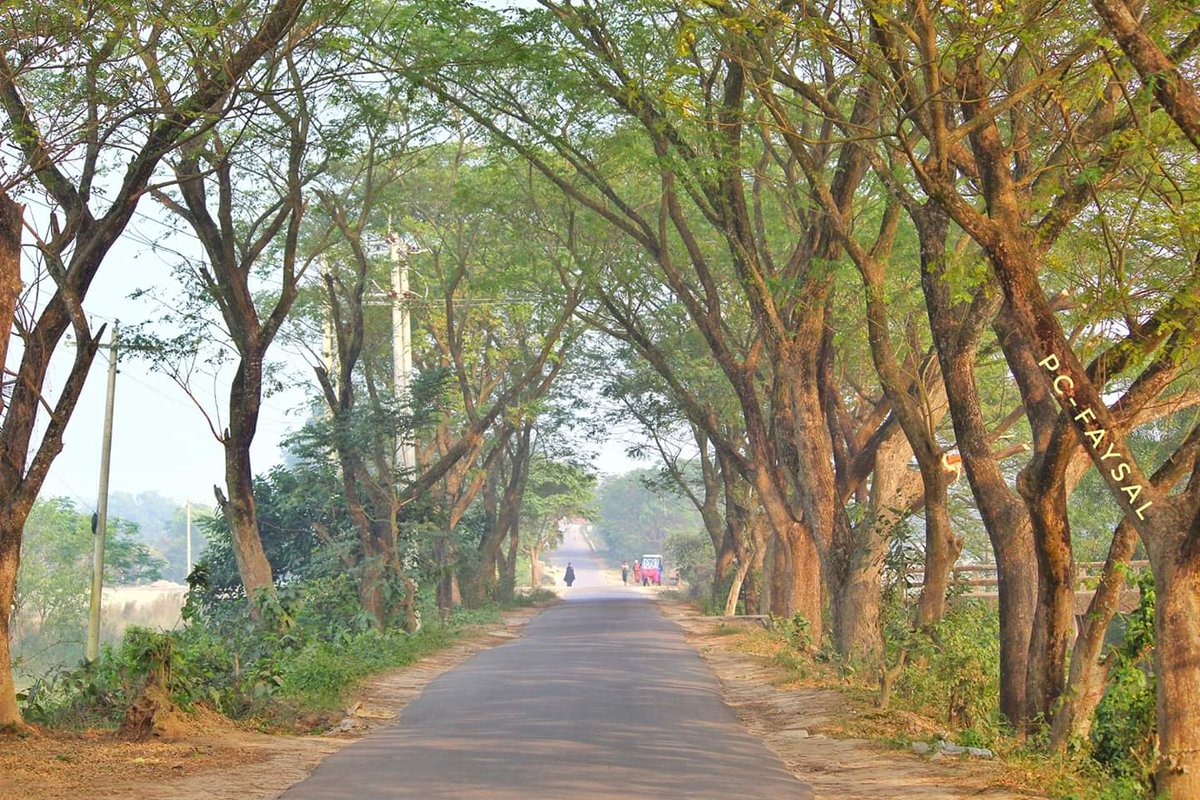 Brtv19's tweet photo. 🌴���🌴🌴রাস্তার সৌন্দর্য হচ্ছে গাছ🌴🌴🌴🌴
🌳🌳বাঞ্ছারামপুর বিশ্বরোড, ব্রাহ্মণবাড়ীয়া🌳🌳
🌲🌲🌲🌲🌲🌲ছবি-ফায়সাল🌲🌲🌲🌲🌲 https://t.co/PN5LP7OvYe