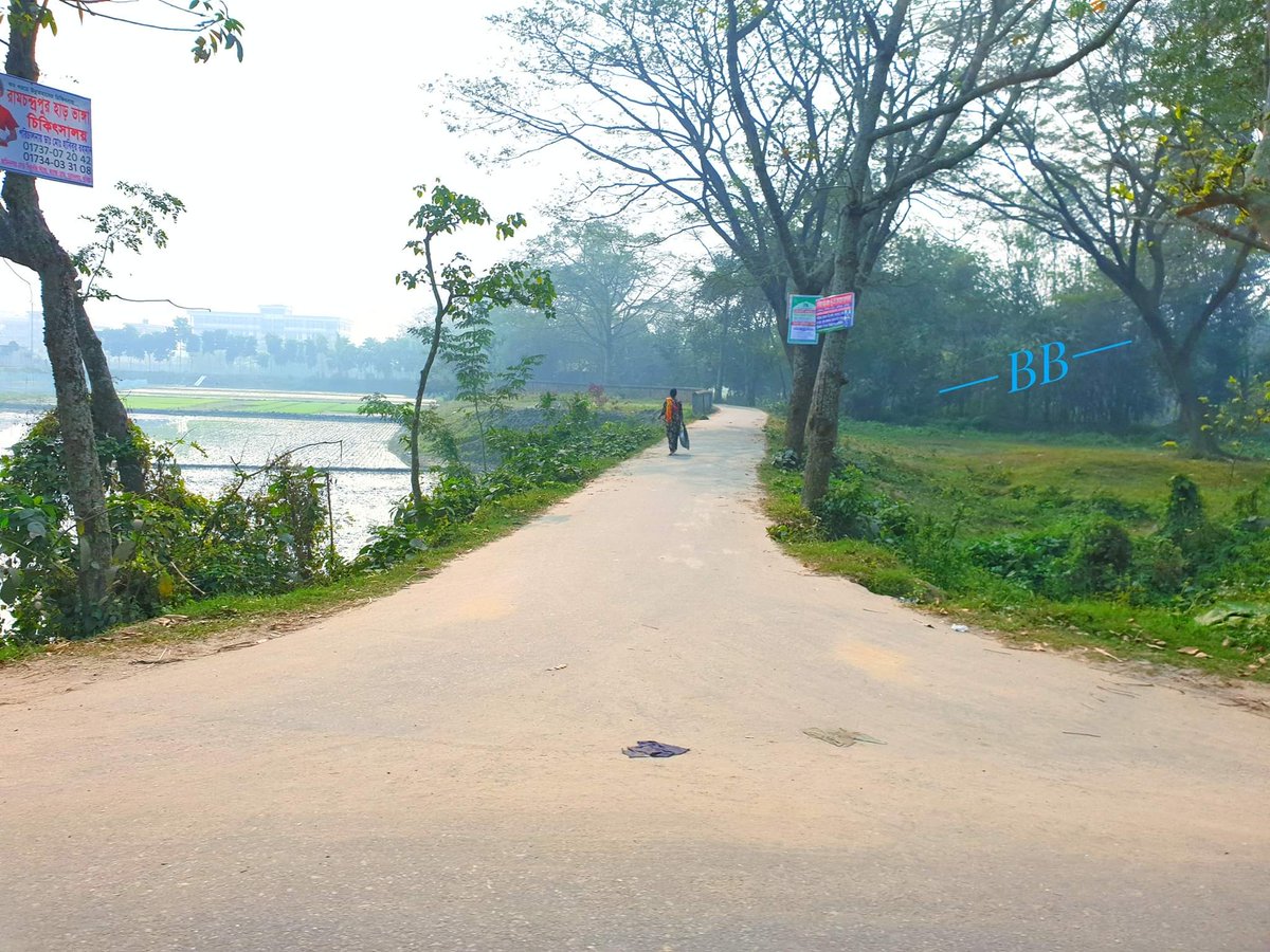 Brtv19's tweet photo. পাড়াতলী,বাঞ্ছারামপুর, ব্রাহ্মণবাড়ীয়া। https://t.co/yAPT59c9Nw
