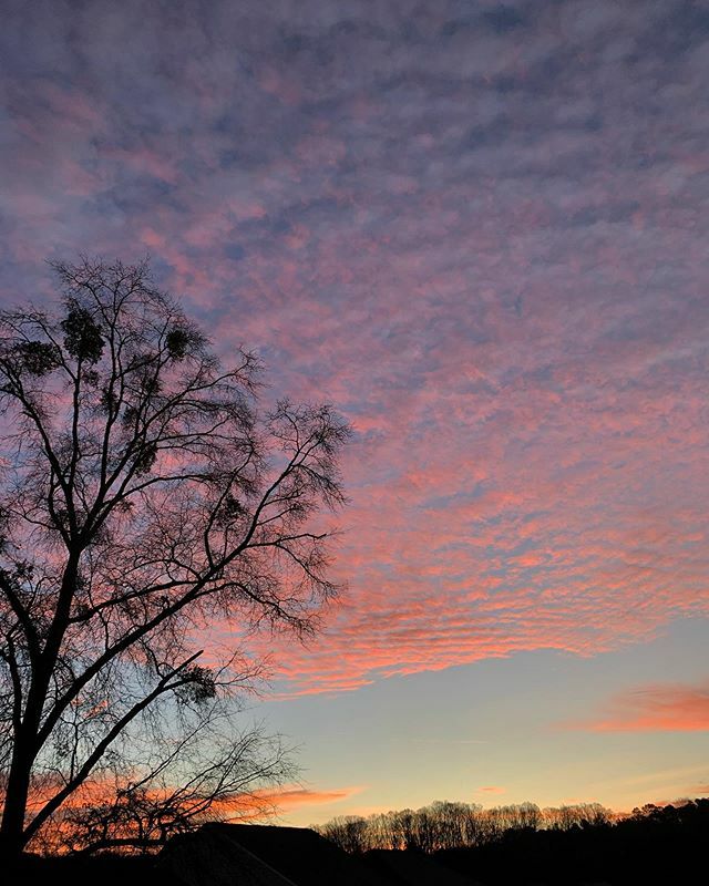 MichelleBPhotog's tweet photo. Good morning! ☀️ 🌅 #sunrise #jehovahscreation https://t.co/4qZxVXMSuz