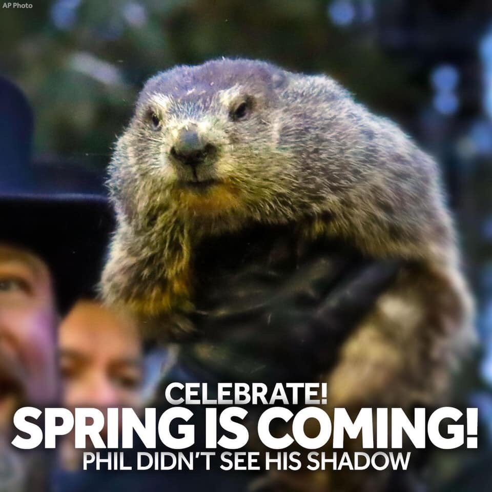 AlmarBuilding's tweet image. It’s official tune to get moving on projects you want fine in the spring. My teams ready to help guide you thru the planning process. almarbuilding.com  #almar2020 #springproject #southshorema #southshoreliving #hanoverma